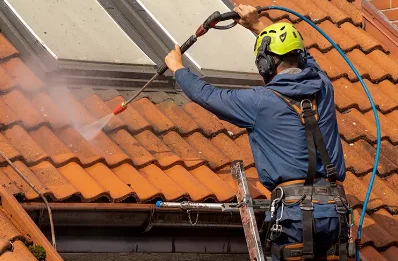 Démoussage et hydrofuge de toiture à Vivey
